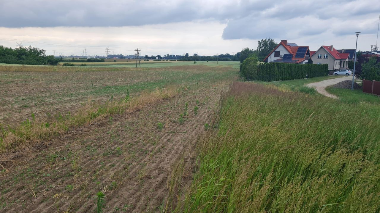 Działka budowlana Ślesin, ul. Ksawerego Dunikowskiego. Zdjęcie 2