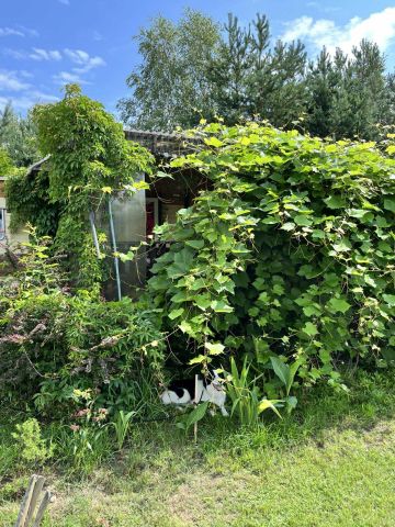 Działka budowlana Osowo Leśne Skowronek, os. Letnisko II. Zdjęcie 6