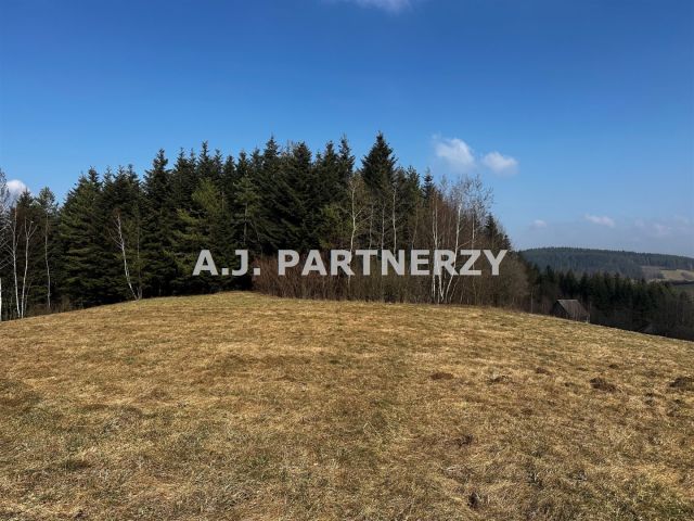 Działka rolna Berest. Zdjęcie 5