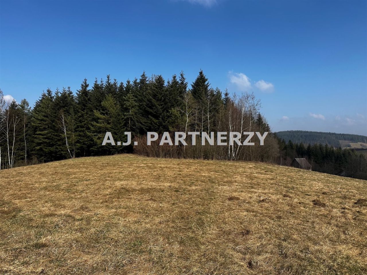 Działka rolna Berest. Zdjęcie 5