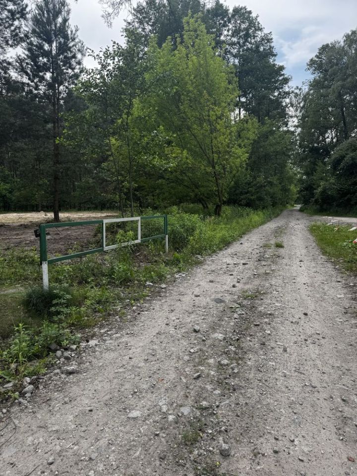 Działka leśna Chrzęsne, ul. Podleśna. Zdjęcie 3