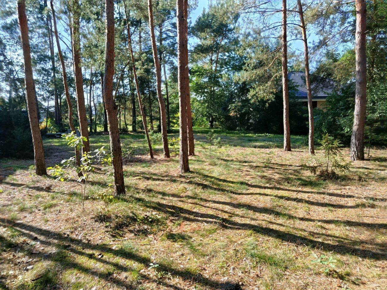 Działka budowlana Czarne Błoto, ul. Łubinowa. Zdjęcie 6