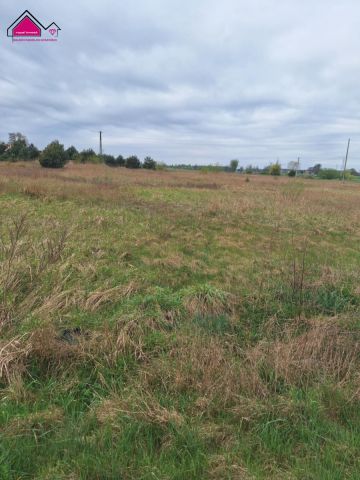 Działka rolna Teresewo. Zdjęcie 1