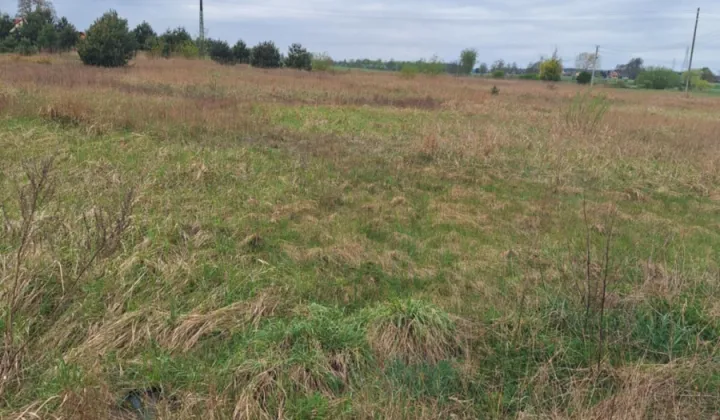 Działka rolna Teresewo