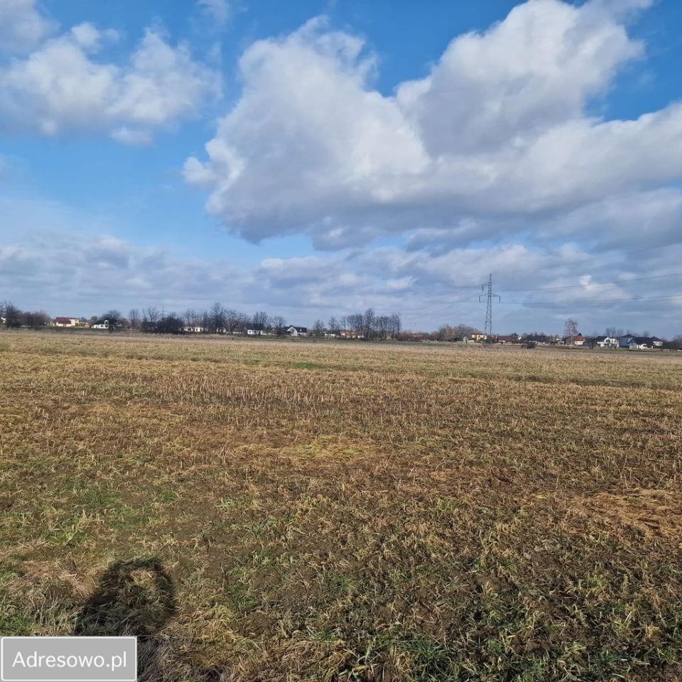 Działka rolna Brzezinka, ul. Zapłocie. Zdjęcie 5