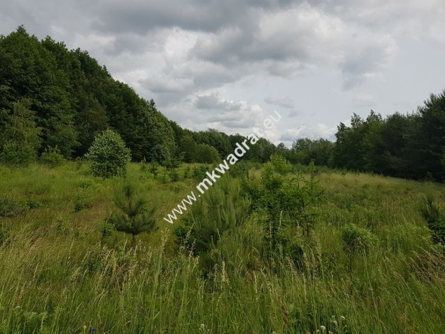 Działka inwestycyjna Jaktorów-Kolonia. Zdjęcie 8