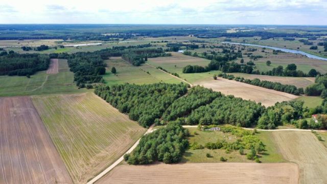 Działka rolna Osetno. Zdjęcie 3