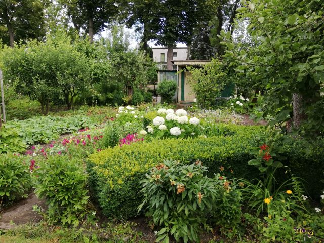 Działka rekreacyjna Piła, ul. Paderewskiego. Zdjęcie 1