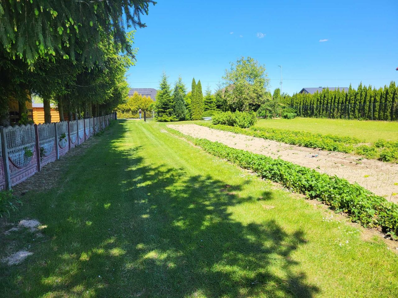 Działka budowlana Turowola-Kolonia. Zdjęcie 7