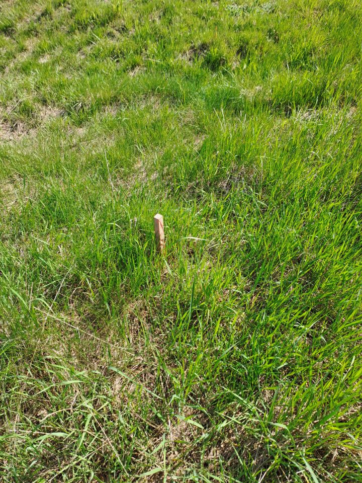 Działka budowlana Strożyska Przymiarki. Zdjęcie 12