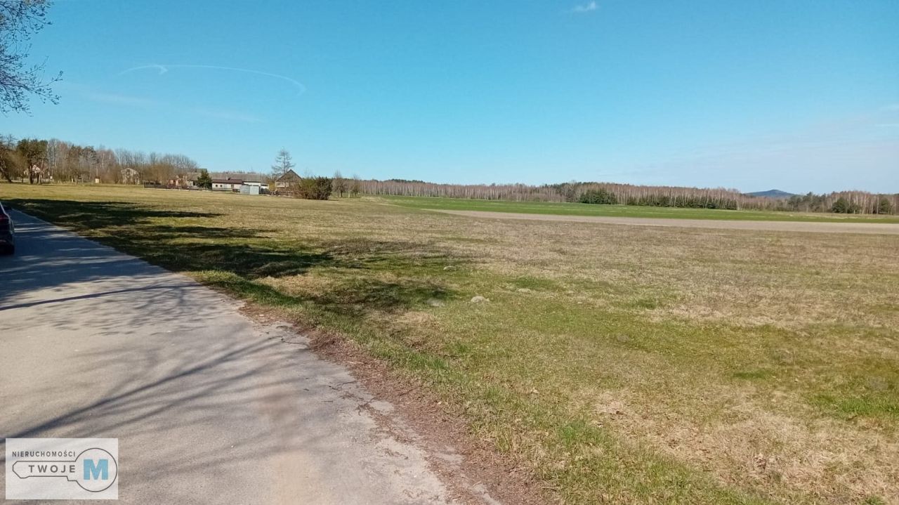 Działka leśna Strawczyn. Zdjęcie 2