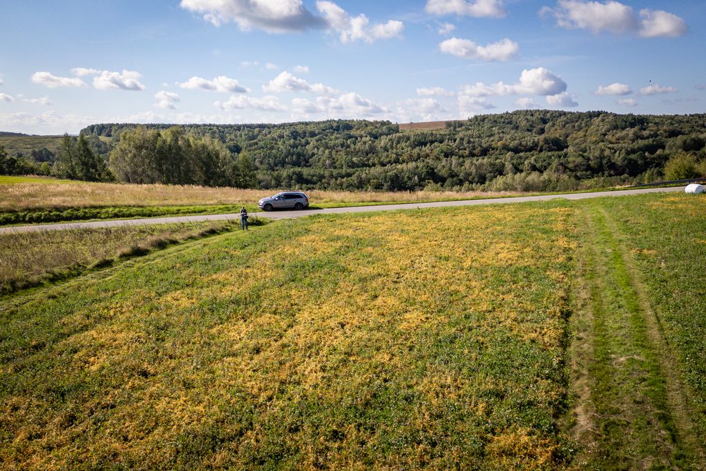 Działka budowlana Dynów, ul. ks. Józefa Ożoga. Zdjęcie 13