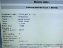 Działka inwestycyjna Golina, ul. Cmentarna. Zdjęcie 1