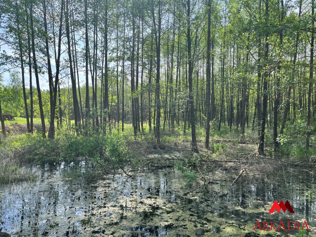 Działka budowlana Osiek. Zdjęcie 5