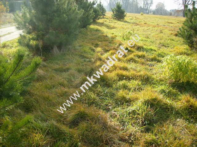 Działka budowlana Makówka. Zdjęcie 6