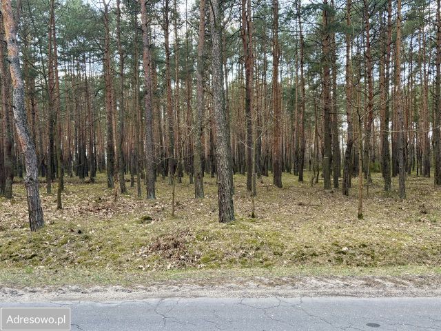 Działka budowlana Ziewanice. Zdjęcie 1