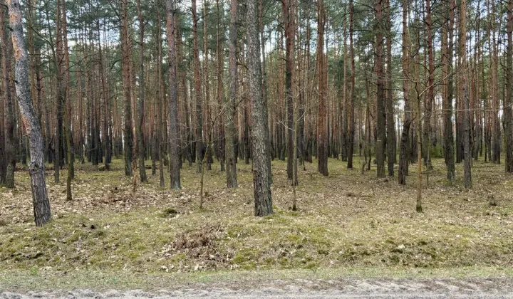 Działka budowlana Ziewanice