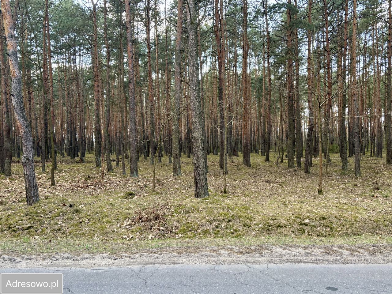 Działka budowlana Ziewanice. Zdjęcie 1