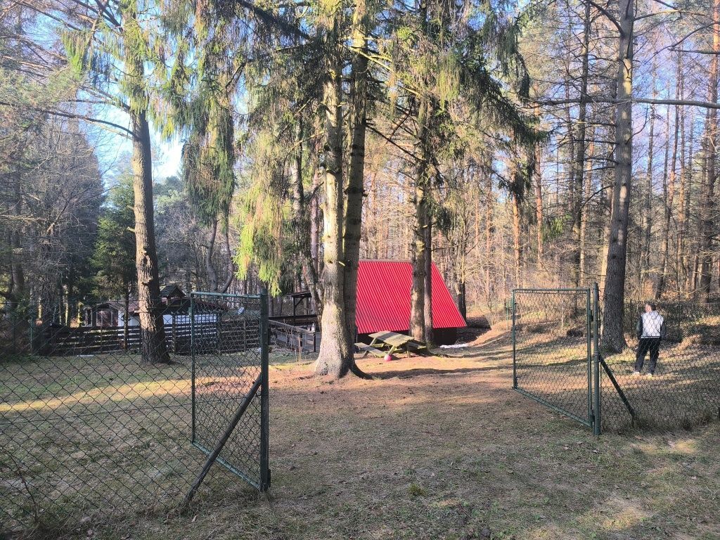 dom letniskowy Zbychowo. Zdjęcie 8
