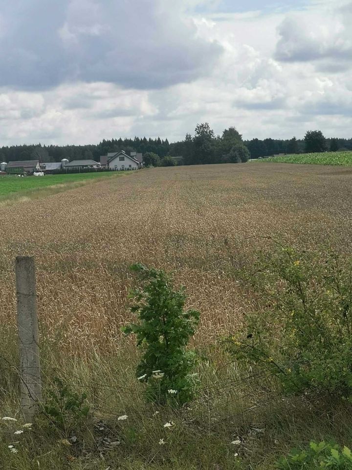 Działka budowlana Wola Wodyńska. Zdjęcie 1