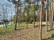 Działka leśna Warszawa Białołęka. Zdjęcie 3