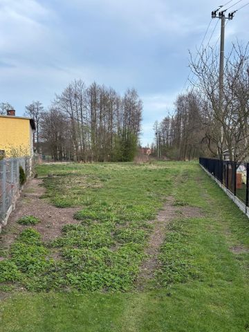 Działka budowlana Krępna. Zdjęcie 1