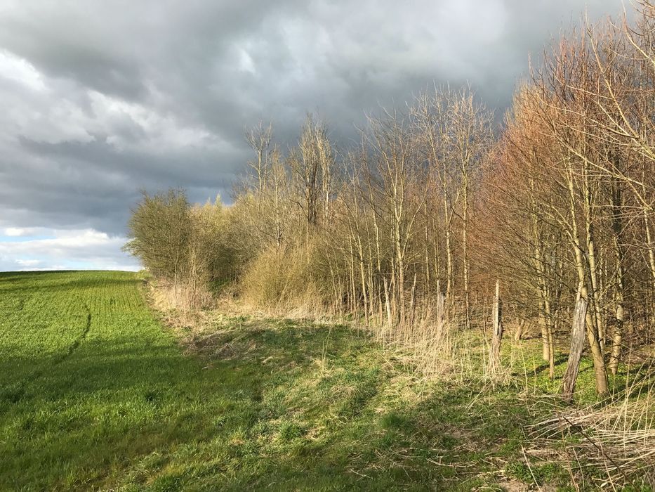 bliźniak Gęsie Góry Kudwiny. Zdjęcie 7