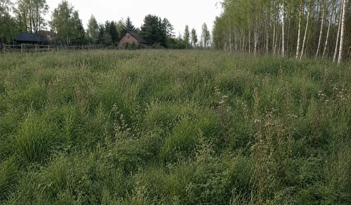 Działka budowlana Celinów, ul. Karych Koni