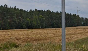 Działka budowlana Żuromino