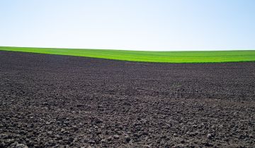 Działka rolna Podgórzyce