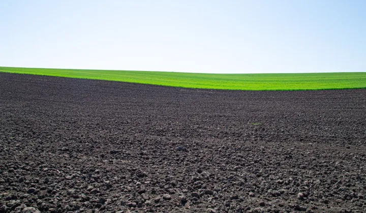 Działka rolna Podgórzyce