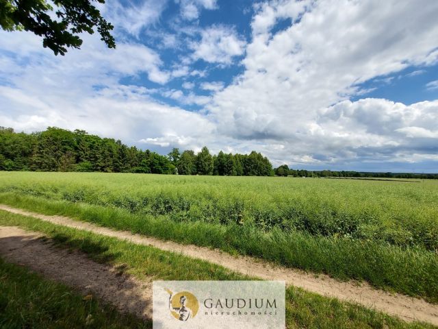 Działka Borkowo Lęborskie. Zdjęcie 1