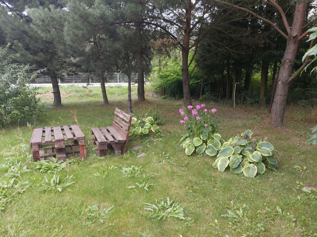 Działka budowlana Rzozów. Zdjęcie 4