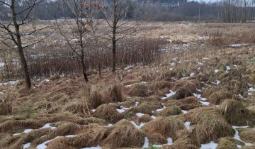 Działka rekreacyjna Jejkowice