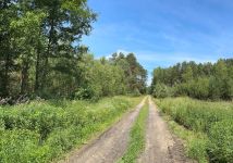 Działka rolna Trzebule. Zdjęcie 4