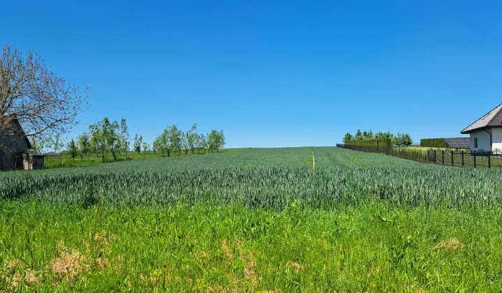 Działka rolno-budowlana Więckowice