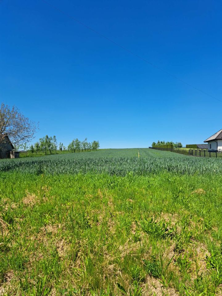 Działka rolno-budowlana Więckowice. Zdjęcie 1