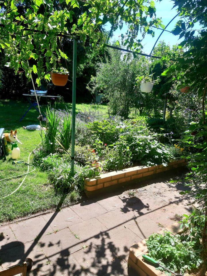 Działka rod Poznań Smochowice, ul. Wichrowa. Zdjęcie 7