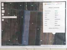 Działka rolna Zaborowice. Zdjęcie 2