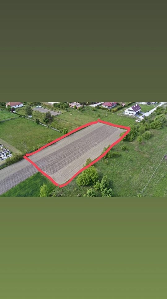 Działka inwestycyjna Krępice. Zdjęcie 2