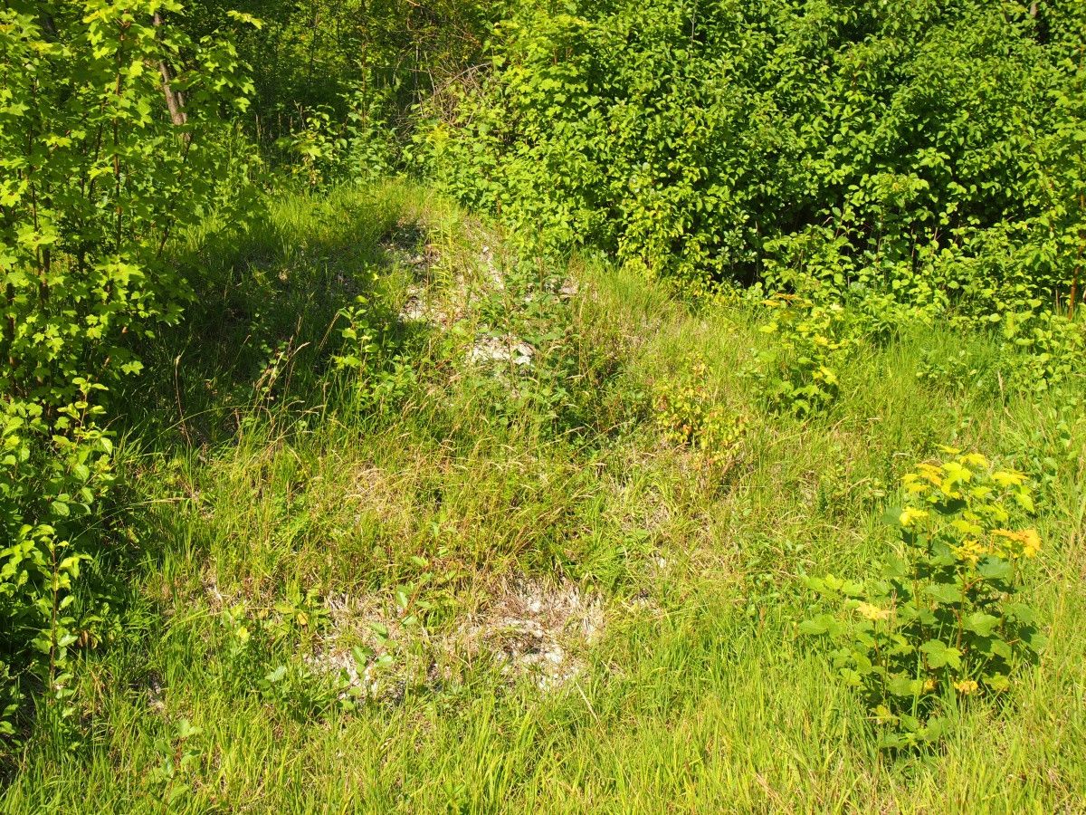 Działka rekreacyjna Śladów. Zdjęcie 17