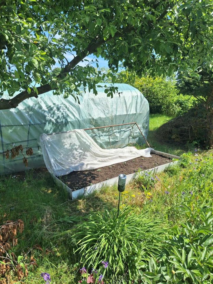 Działka rod Siemianice. Zdjęcie 2