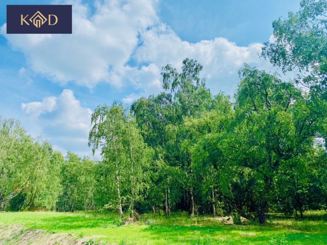 Działka inwestycyjna Czapury, ul. Wiewiórcza. Zdjęcie 3