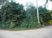 Działka siedliskowa Kępa Kiełpińska, ul. Brzegowa. Zdjęcie 4