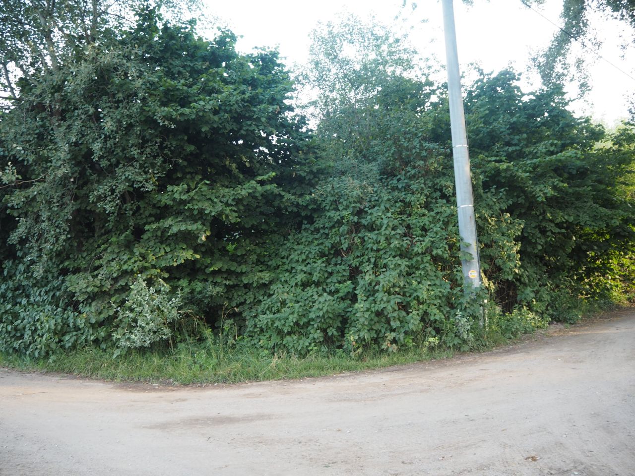 Działka siedliskowa Kępa Kiełpińska, ul. Brzegowa. Zdjęcie 5