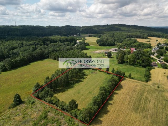 Działka Rybaki. Zdjęcie 2