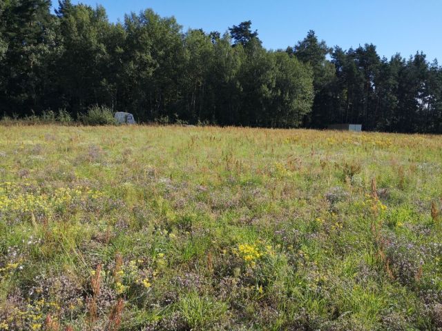 Działka budowlana Pietrzyki. Zdjęcie 4