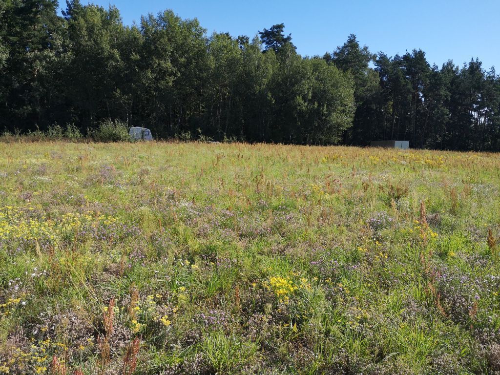 Działka budowlana Pietrzyki. Zdjęcie 4