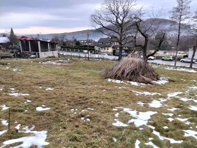 Działka budowlana Górki Wielkie Szpotawice, ul. Szpotawicka. Zdjęcie 5