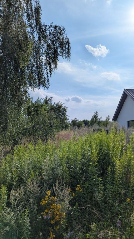 Działka budowlana Żarowo. Zdjęcie 3